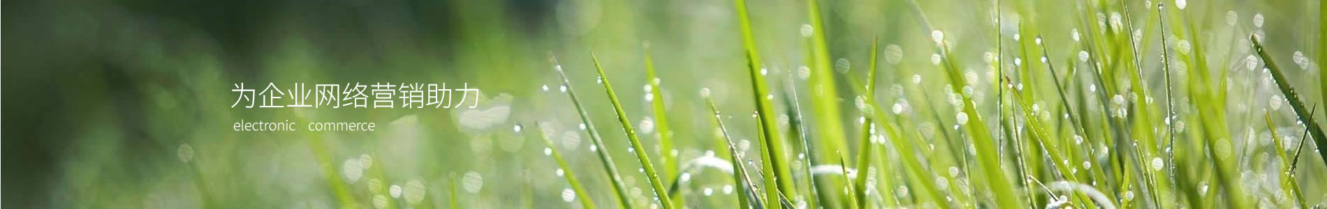 մĿݷʦ޹˾